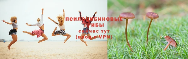 каннабис Баксан
