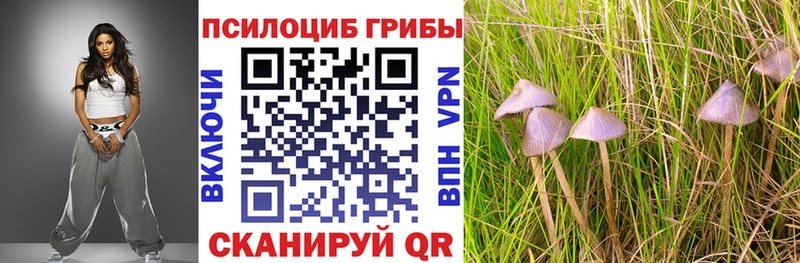 Псилоцибиновые грибы Magic Shrooms  Урай 